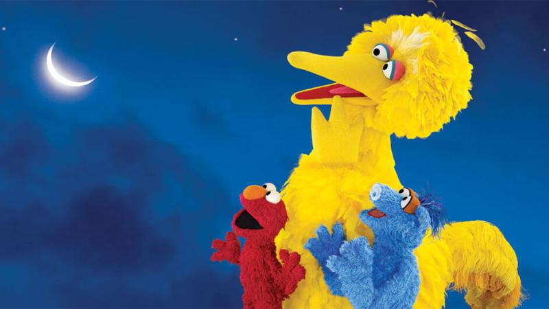 Big Bird, Elmo and other Sesame Street characters looking up at a starry sky.