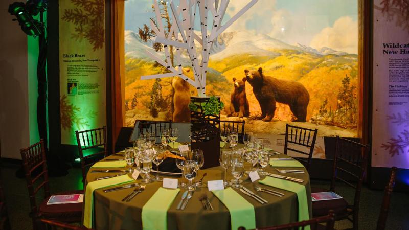 A table set for a formal event in the New England Habitats exhibit.