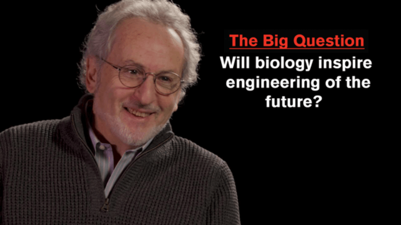 on a black background with the words The Big Question with the words The Big Question Will biology inspire engineering of the future?