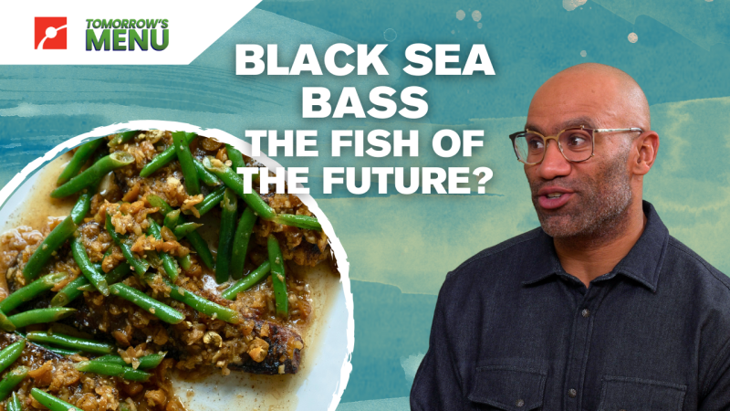 Douglass Williams with a picture of black sea bass with the text Black Sea Bass The Fish of the Future?