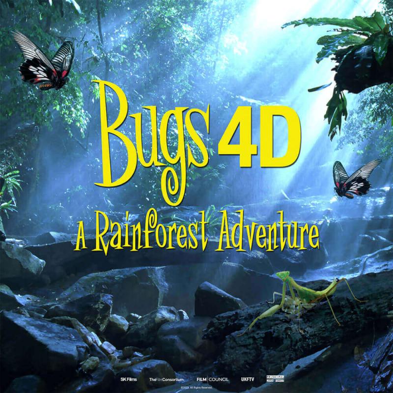 A rainforest with bugs flying through the air. The words "Bugs 4D - A rainforest Adventure" written in yellow on top of the image.