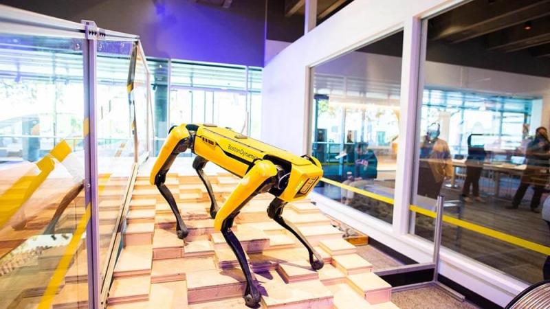 Spot, the Boston Robotics robot, in our Exploring AI Exhibit.