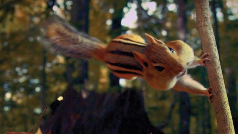 A chipmock, with very full cheeks, jumping onto a branch.
