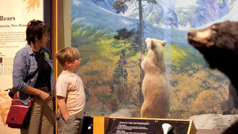 A mother and son in the New England Habitats exhibit.