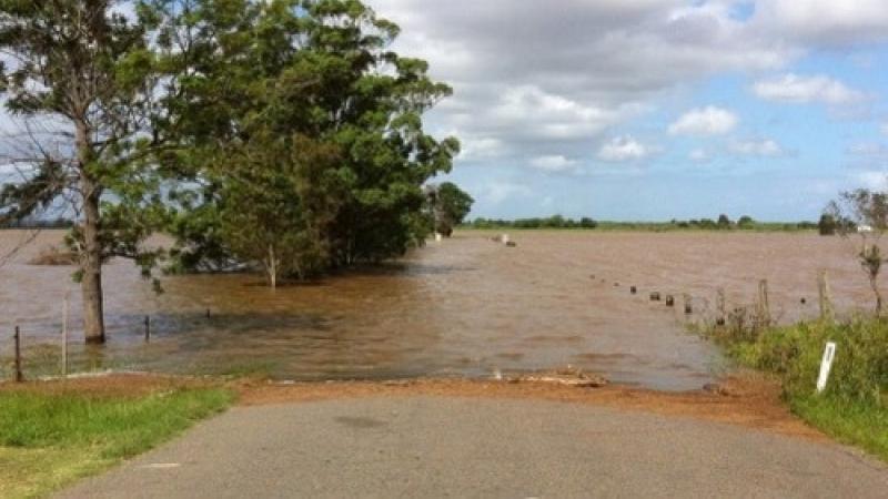 A river overflowing onto a road.