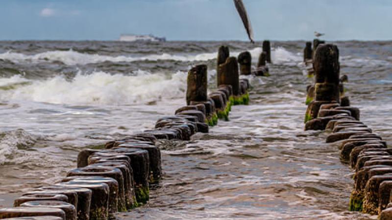 A beach with a seagul flying above a broken pier.