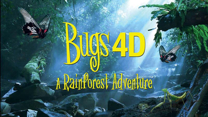 A rainforest with bugs flying through the air. The words "Bugs 4D - A rainforest Adventure" written in yellow on top of the image.