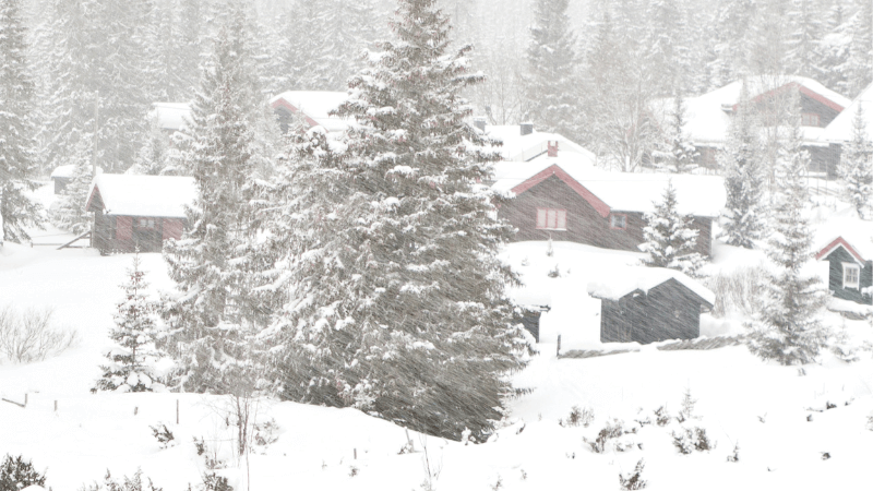 A snow storm hits a cabin in the woods