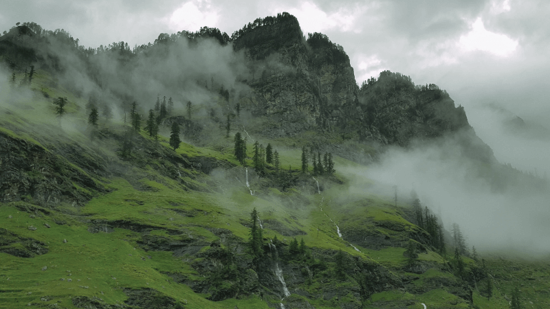 Fog rolls over grassy, green mountains