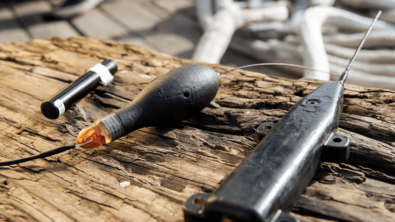 Three examples of shark trackers on a wooden beam