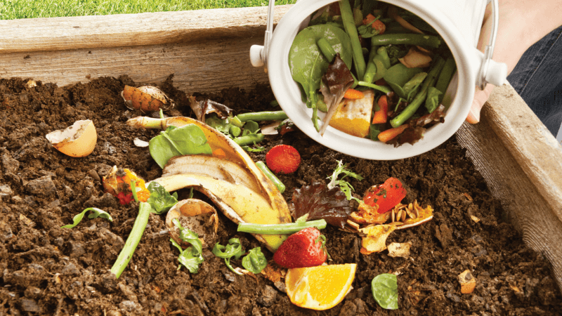 Someone pours compost items into a compost bin