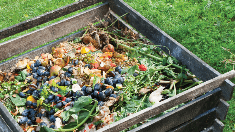 A box of compost in a grassy field