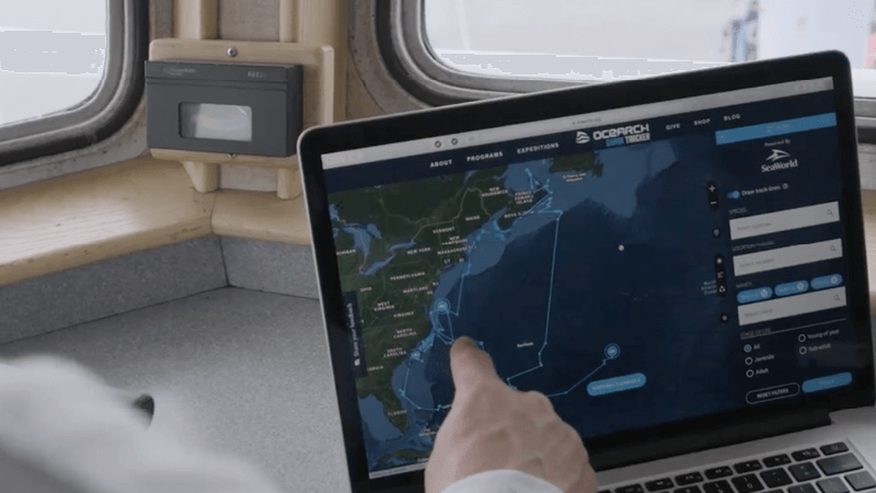 Someone points to a map on a computer showing pings from a shark tracker