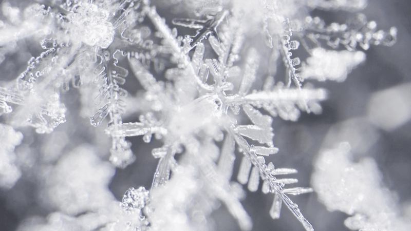 A close-up of snowflakes