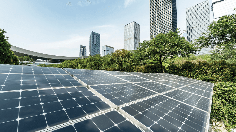 Solar panels surrounded by greener with city buildings in the background
