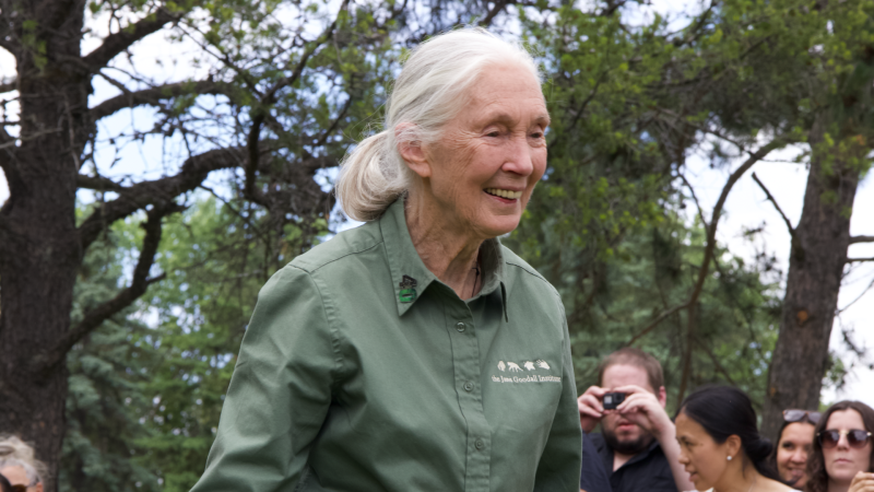 Jane Goodall smiling in green coveralls