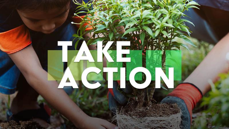 Take Action in white text, with a child planting a tree in the background.