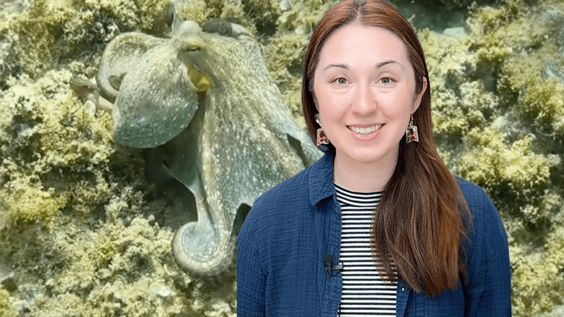 Alex Dainis in front of an image of an octopus
