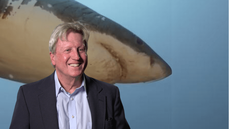 Greg Skomel smiling with a shark behind him. 