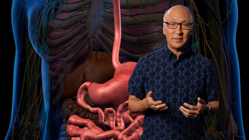 Insoo Hyun in front of an image of human organs in a body