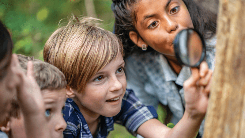 Children look at a tree through a magnifying glass.