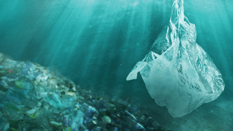 A plastic bag floats under water