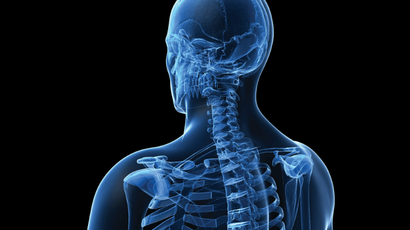 The skeleton in a glowing blue color on a black background