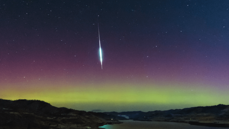 A bright Taurid meteor in the night sky