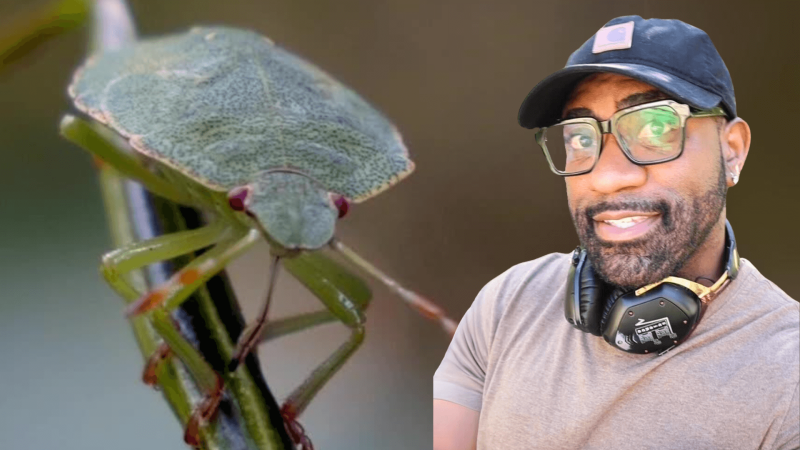 Maynard Okereke in front of an image of a bug
