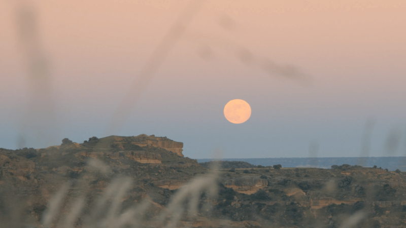 The Beaver Moon over an oceanside landscape