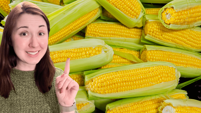 Alex Dainis in front of an image of corn
