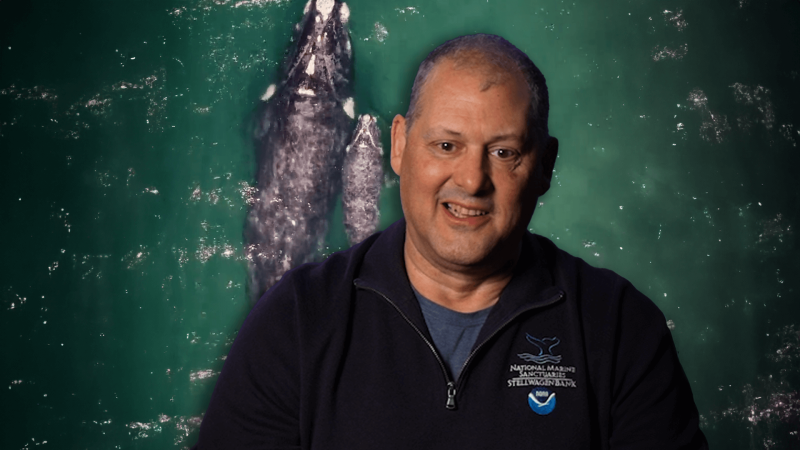 Captain Pete with an image of Right Whales