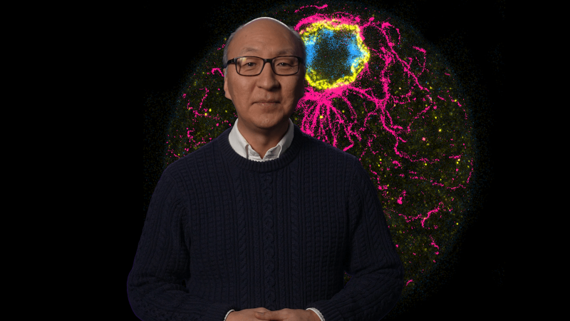 Insoo Hyun in front of an image of C. Perkinsii