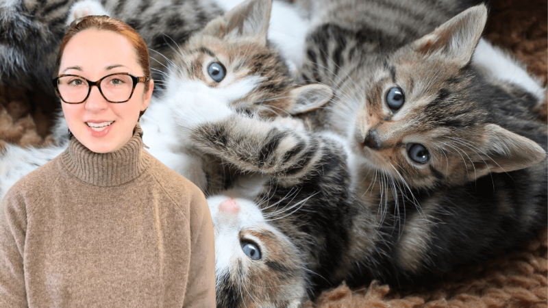 Alex Dainis with an image of kittens