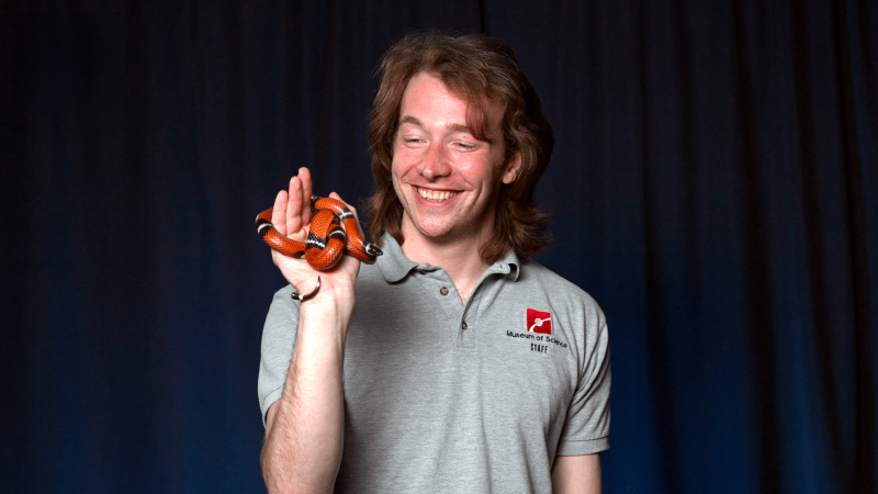 Museum Educator Jason holding a Sinaloan milk snake