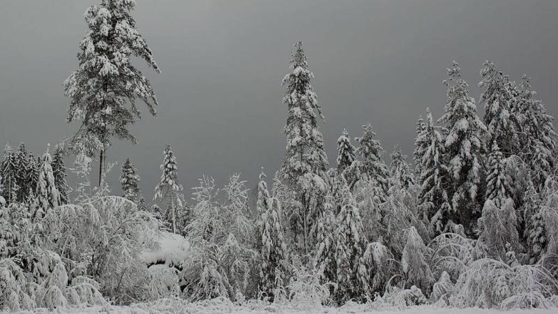 Winter Credit: Ernst Vikne via Wikipedia Commons