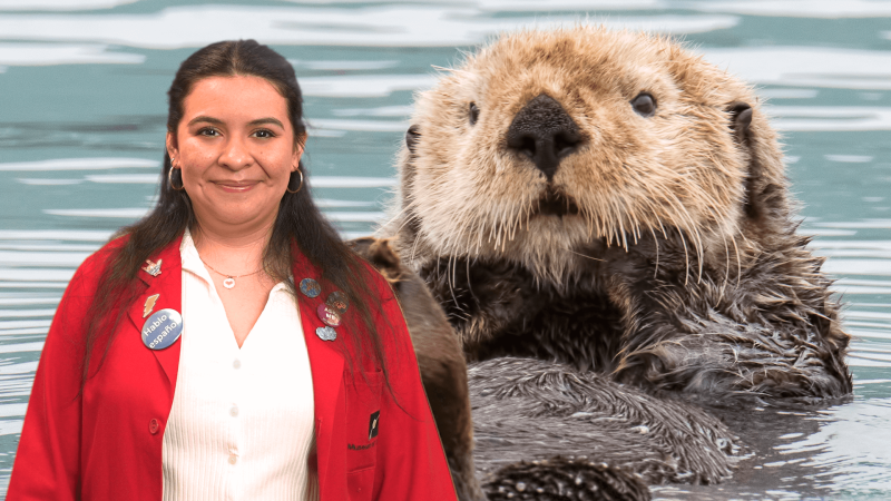 Museum Educator Ana with an image of a sea otter