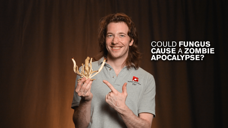 Museum Educator Jason smiling while holding a fungus with the text "Could fungus cause a zombie apocalypse?"