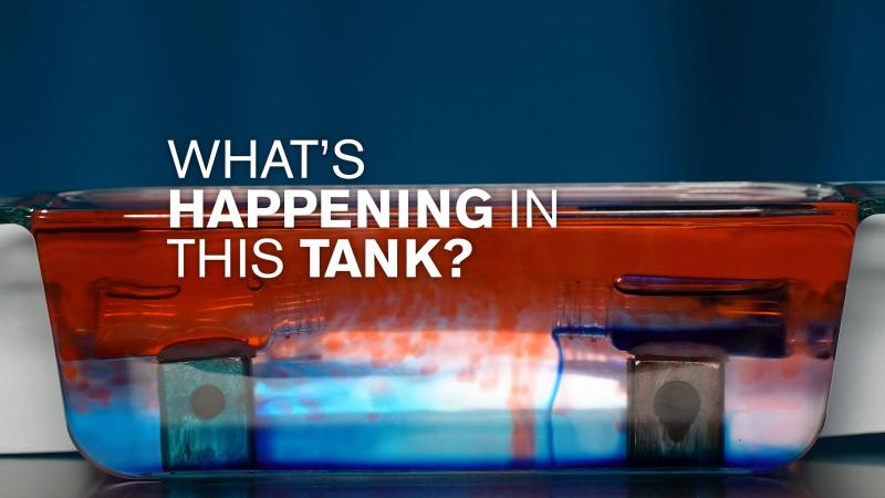 A tub with water and red and blue food dye and text that says "What's happening in this tank?"
