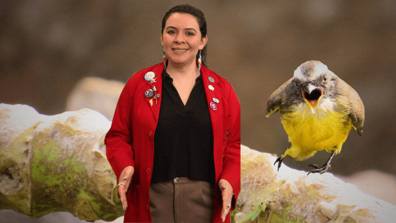 Educator Ana in front of a yellow warbler