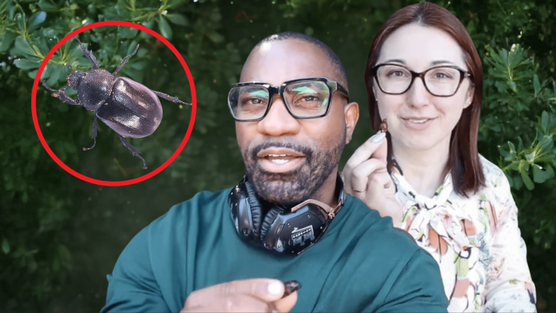 Maynard Okereke and Alex Dainis next to a bug.