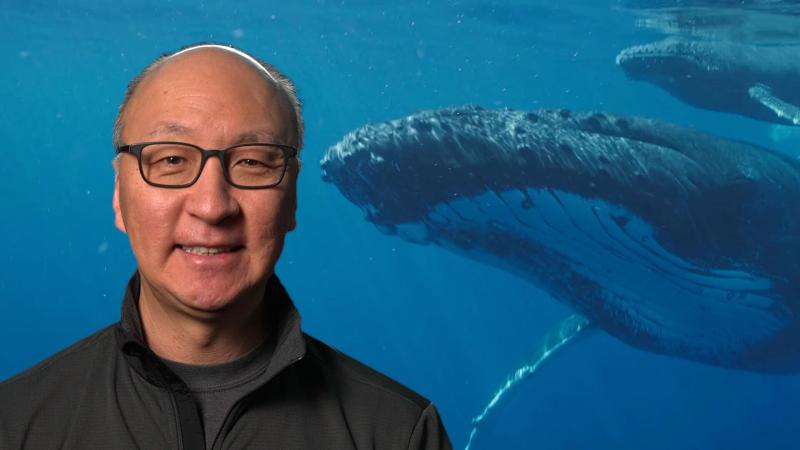 Insoo Hyun in front of a whale under the ocean.