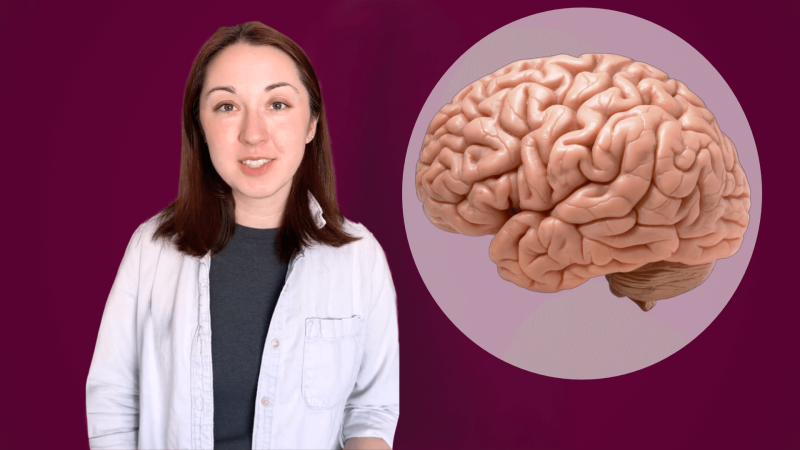 Alex Dainis In front of a burgundy background with a light purple call out bubble with a brain in it.