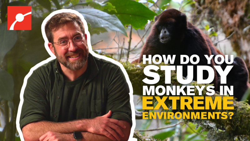 Dr. Christopher Schmidtt In front of an image of a monkey in a tree with the text "How do you study monkeys in extreme environments?"