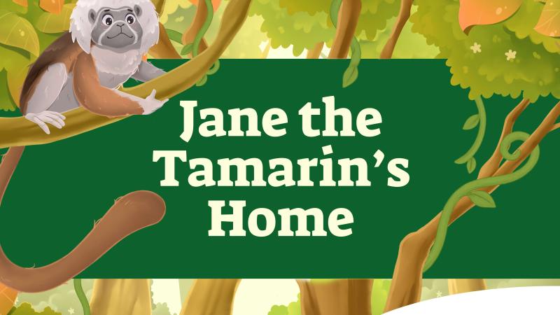 Illustration of a tamarin on a branch with a green bar with light green text reading "Jane the Tamarin's Home"