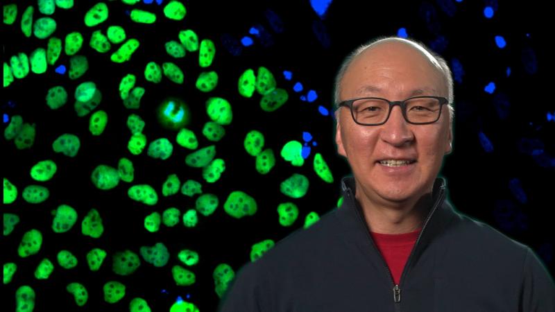 Insoo Hyun in front of glowing green and blue cells
