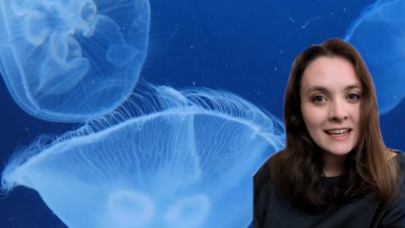 Educator Eva in front of a moon jellyfish