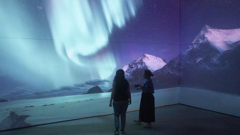  Two people look up at an immersive display of the northern lights.