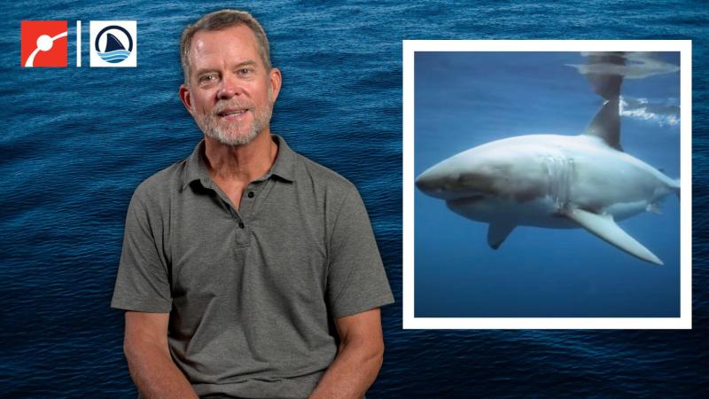 Chris Fischer in front of the ocean with a white square highlighting a photo of a white shark