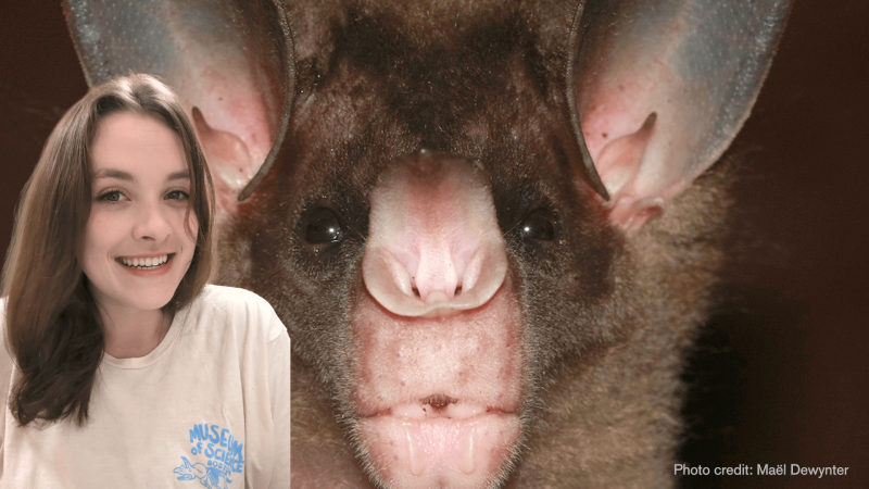 Educator Ava in front of a spectral bat